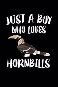 Just A Boy Who Loves Hornbills