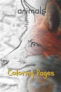 Animal Coloring Pages