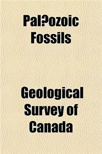 Palaeozoic Fossils