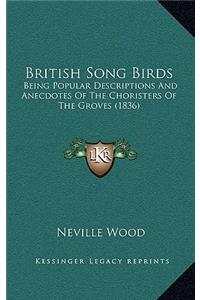 British Song Birds