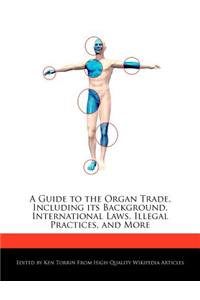 A Guide to the Organ Trade, Including Its Background, International Laws, Illegal Practices, and More