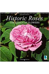 Historic Roses - The Queen of Flowers 2017