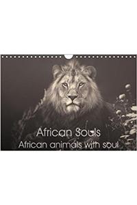 African Souls African Animals with Soul 2018