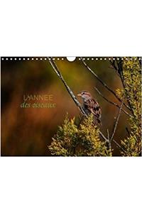 L'Annee Des Oiseaux 2018