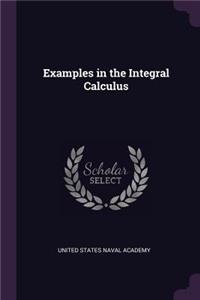Examples in the Integral Calculus