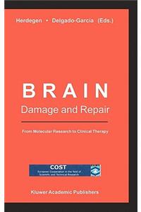 Brain Damage and Repair