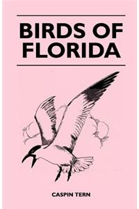 Birds of Florida