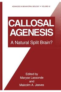 Callosal Agenesis