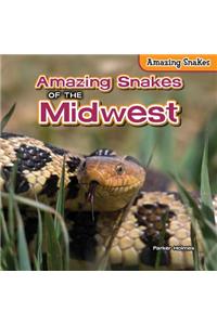Amazing Snakes of the Midwest