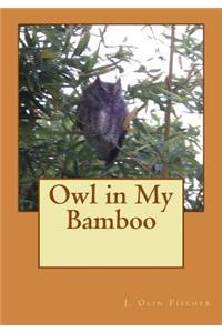 Owl in My Bamboo