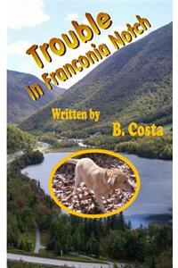 Trouble in Franconia Notch