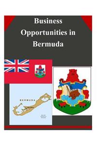 Business Opportunities in Bermuda