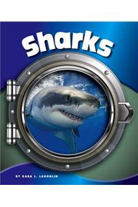 Sharks