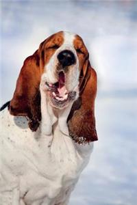 Basset Hound Notebook & Journal. Productivity Work Planner & Idea Notepad: Brainstorm Thoughts, Self Discovery, to Do List