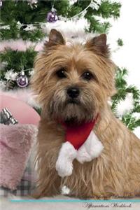 Cairn Terrier Affirmations Workbook Cairn Terrier Presents: Positive and Loving Affirmations Workbook. Includes: Mentoring Questions, Guidance, Supporting You.