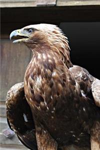 Golden Eagle Journal