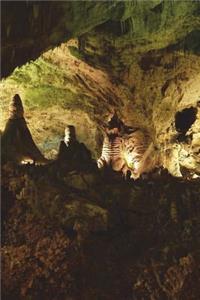 Carlsbad Caverns National Park New Mexico Journal