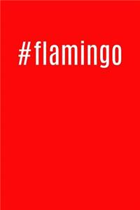 #flamingo