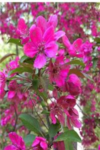 Journal Beautiful Springtime Blossoms