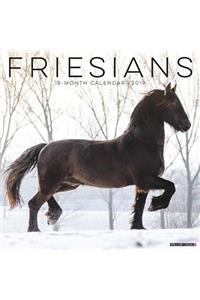 Friesians 2019 Wall Calendar