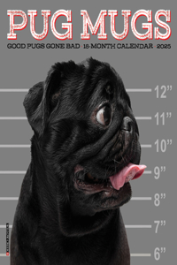 Pug Mugs 2026 7 X 7 Mini Wall Calendar