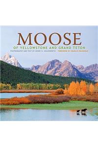 Moose of Yellowstone and Grand Teton