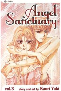 Angel Sanctuary, Vol. 3