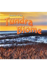 Seasons of the Tundra Biome