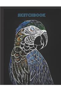 Parrot Sketchbook