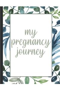 Pregnancy Planner