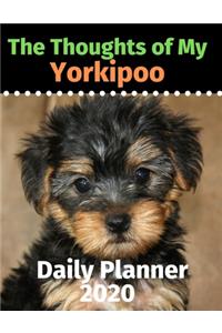 The Thoughts of My Yorkipoo