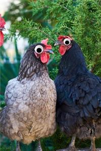 Googly Eye Chickens Journal