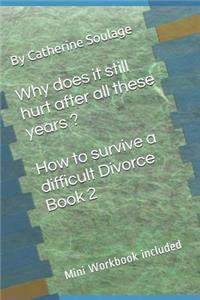 Why does it still hurt after all these years ? How to survive a difficult Divorce Book 2