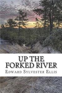 Up the Forked River