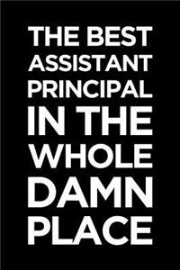 Assistant Principal Notebook: Blank Lined Journal: The Best Assistant Principal in the Whole Damn Place