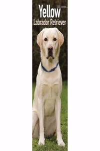 Yellow Labrador Retriever Slim Calendar 2020