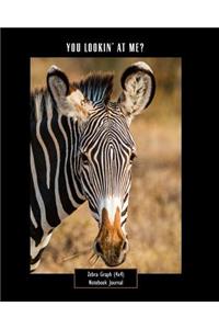 You Lookin' at Me? Zebra Graph (4x4) Notebook Journal