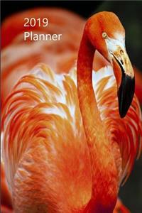 2019 Planner
