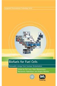 Biofuels for Fuel Cells