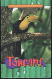 Toucans