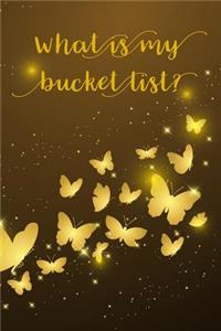 What Is My Bucket List?