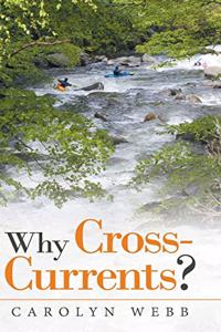 Why Cross-Currents?