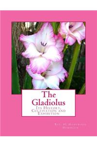 Gladiolus