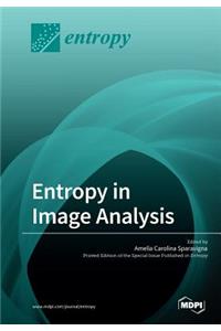 Entropy in Image Analysis