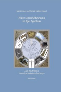 Alpine Landschaftsnutzung Im Ager Aguntinus