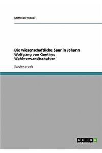 wissenschaftliche Spur in Johann Wolfgang von Goethes Wahlverwandtschaften