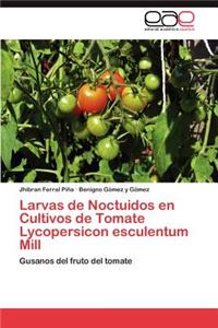 Larvas de Noctuidos En Cultivos de Tomate Lycopersicon Esculentum Mill