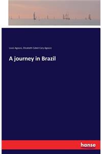 journey in Brazil