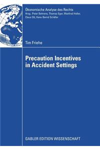 Precaution Incentives in Accident Settings