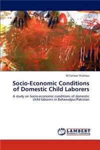 Socio-Economic Conditions of Domestic Child Laborers